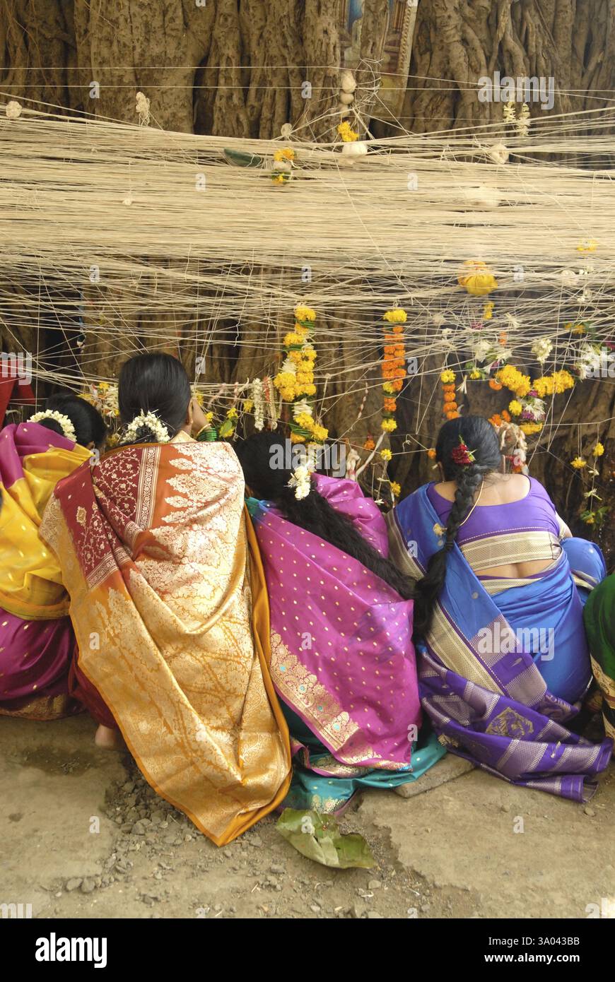 Frauen binden Thread Banyan Baum anbetet auf Mehrwertsteuer Savitri festival Stockfoto