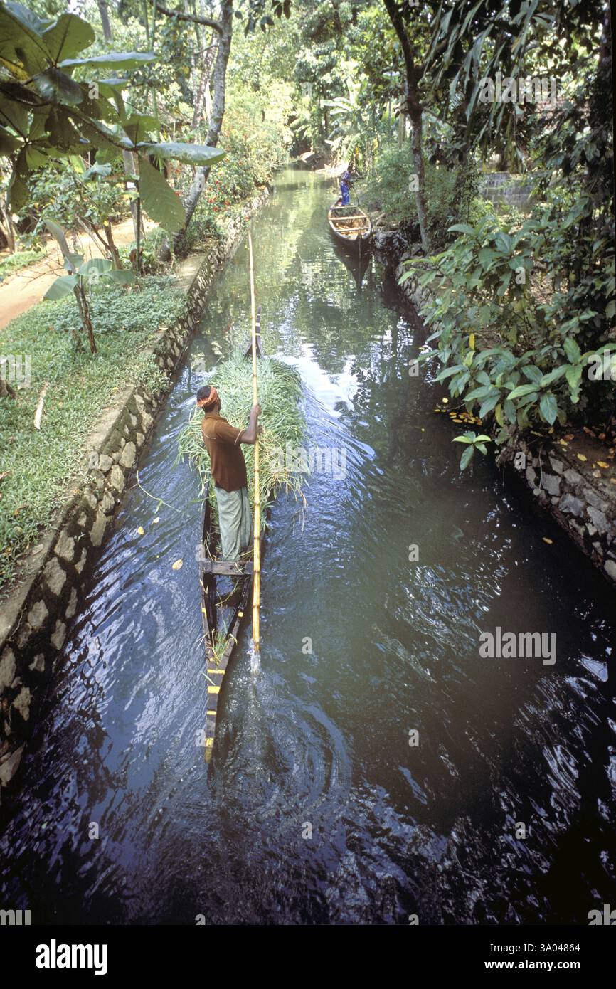 Binnenwasserstraße, Nebengewässer von Kuttanad, Alappuzha Alleppey, Kerala, Indien, Asien Stockfoto