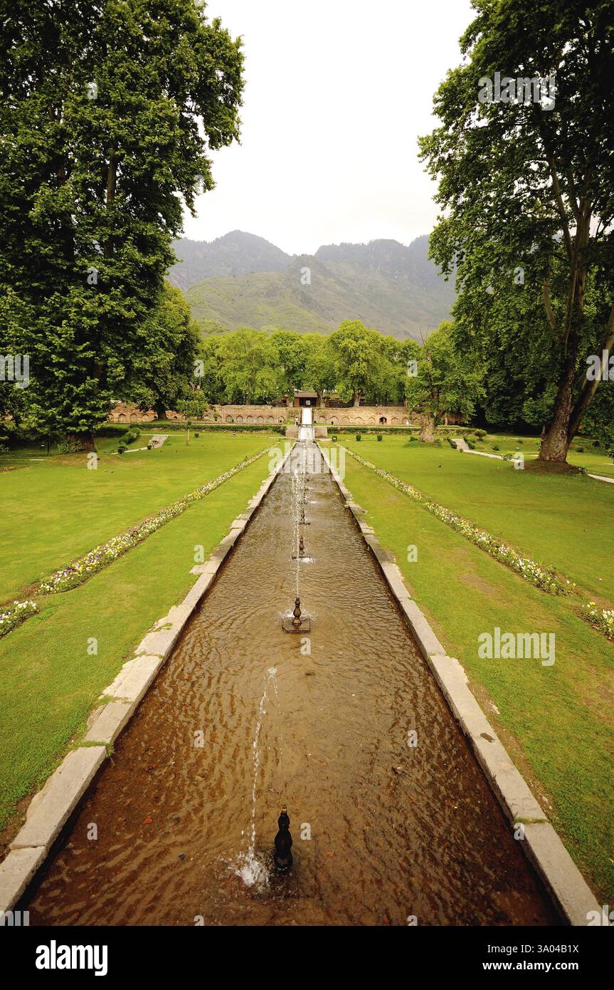 Brunnen im mogulgarten nishat bagh, Srinagar, Jammu und Kaschmir, Indien, Asien Stockfoto