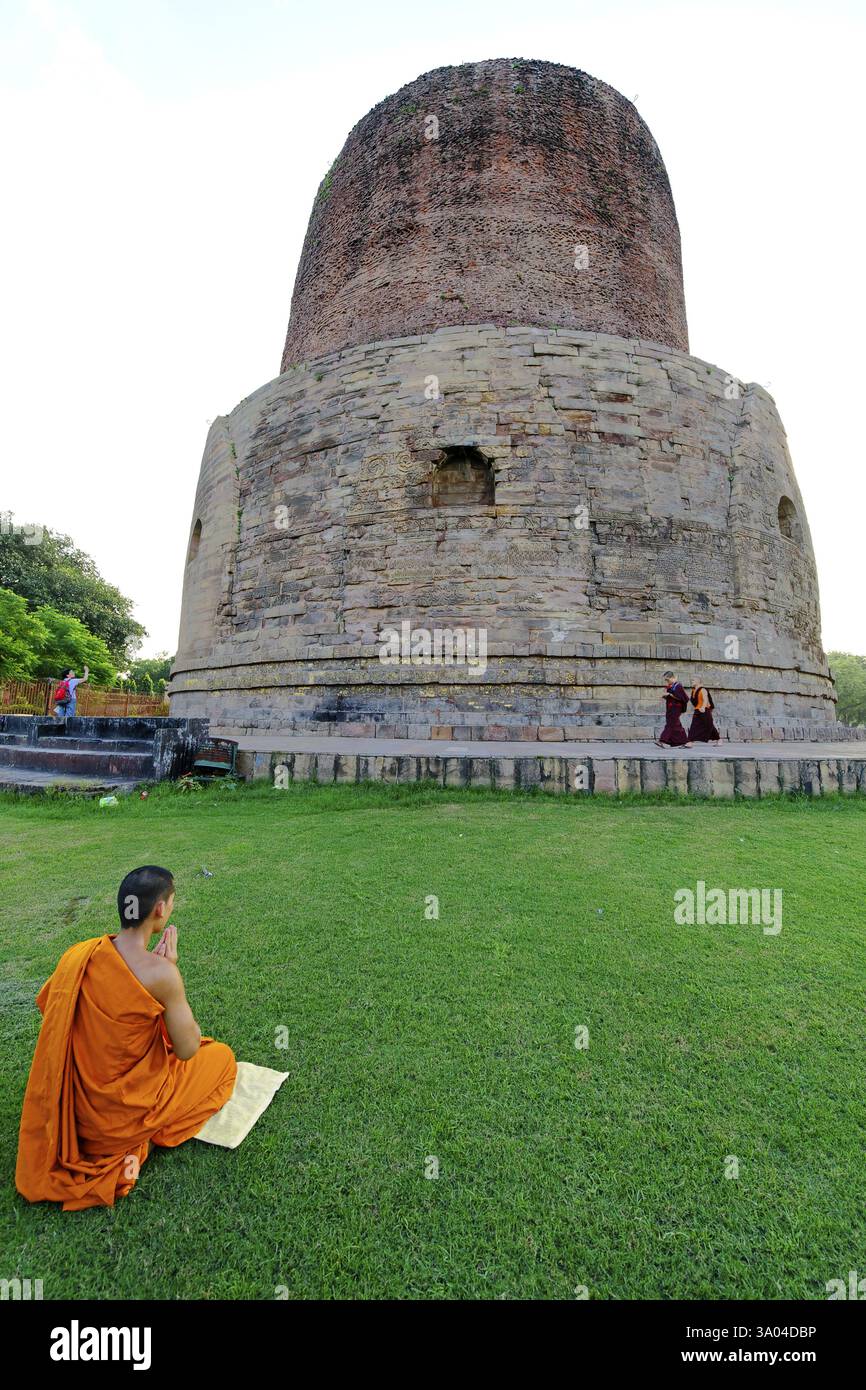 Mönch betet in Dhamekh Stupa (5. Jahrhundert n. Chr.), buddhistische Stätte in Sarnath bei Varanasi, Uttar Pradesh, Indien, Asien Stockfoto