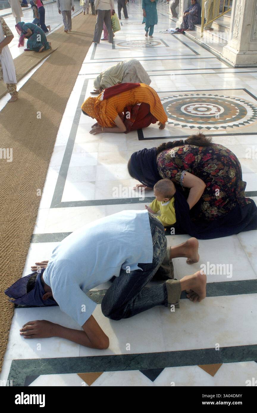 Sikh betet im goldenen Tempel, Amritsar, Punjab, Indien, Asien Stockfoto