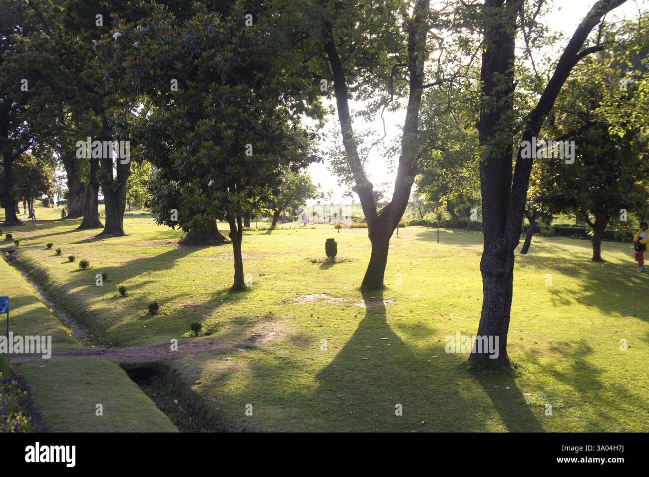 Shalimar Gardens, Srinagar, Jammu und Kaschmir, Indien, Asien Stockfoto