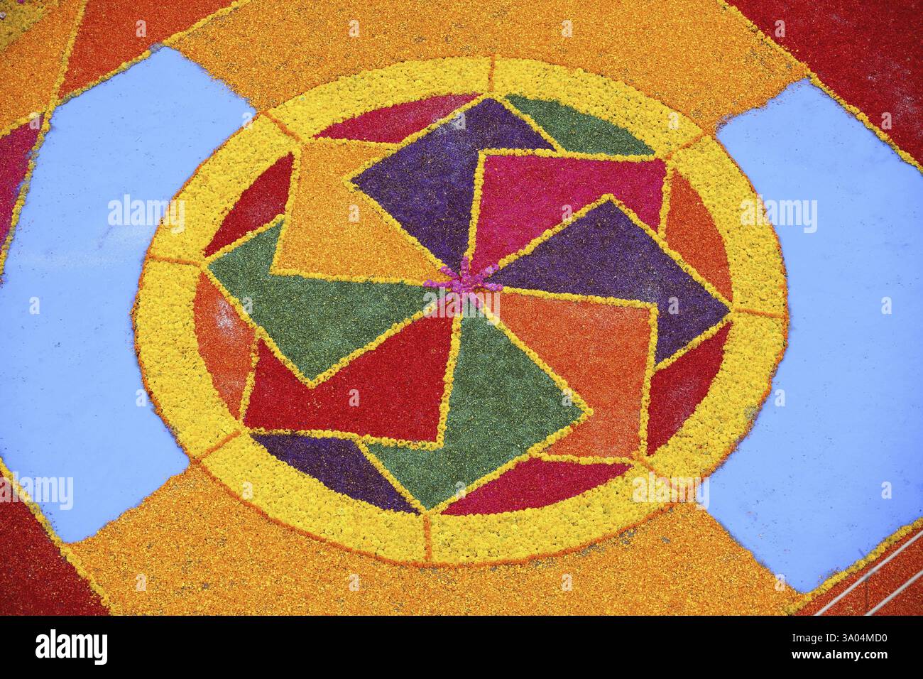 Die Bewohner machten farbenfrohe Blumen-Rangoli auf der Straße, um Lord Ganesh, Sangli, Maharashtra, Indien und Asien zu feiern Stockfoto