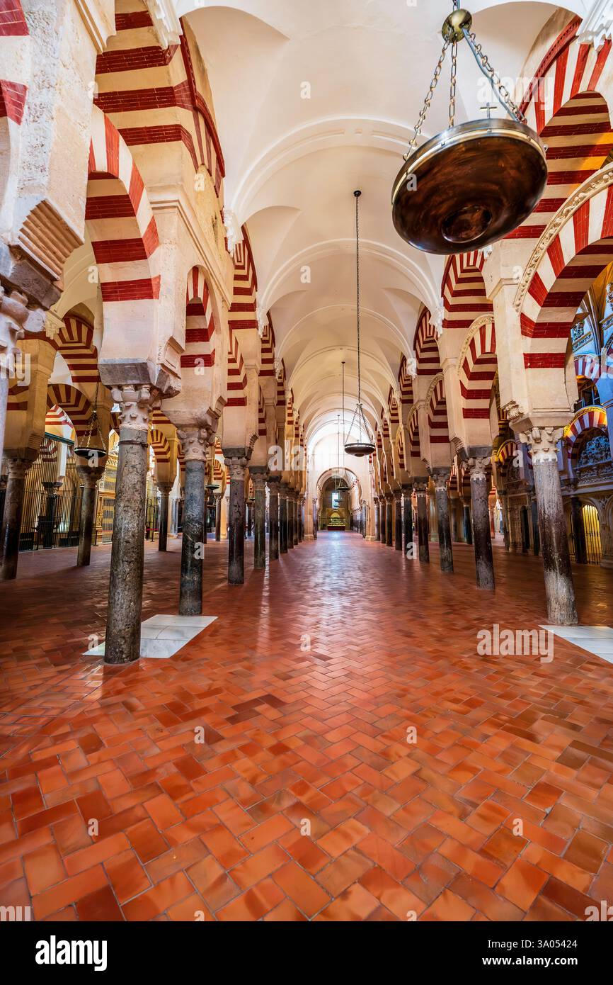 Große Moschee von Córdoba aus dem 8. Jahrhundert mit maurischen Bögen, dem Erbe der Umayyaden und einer christlichen Konvertierung aus dem 13. Jahrhundert in Andalusien Stockfoto