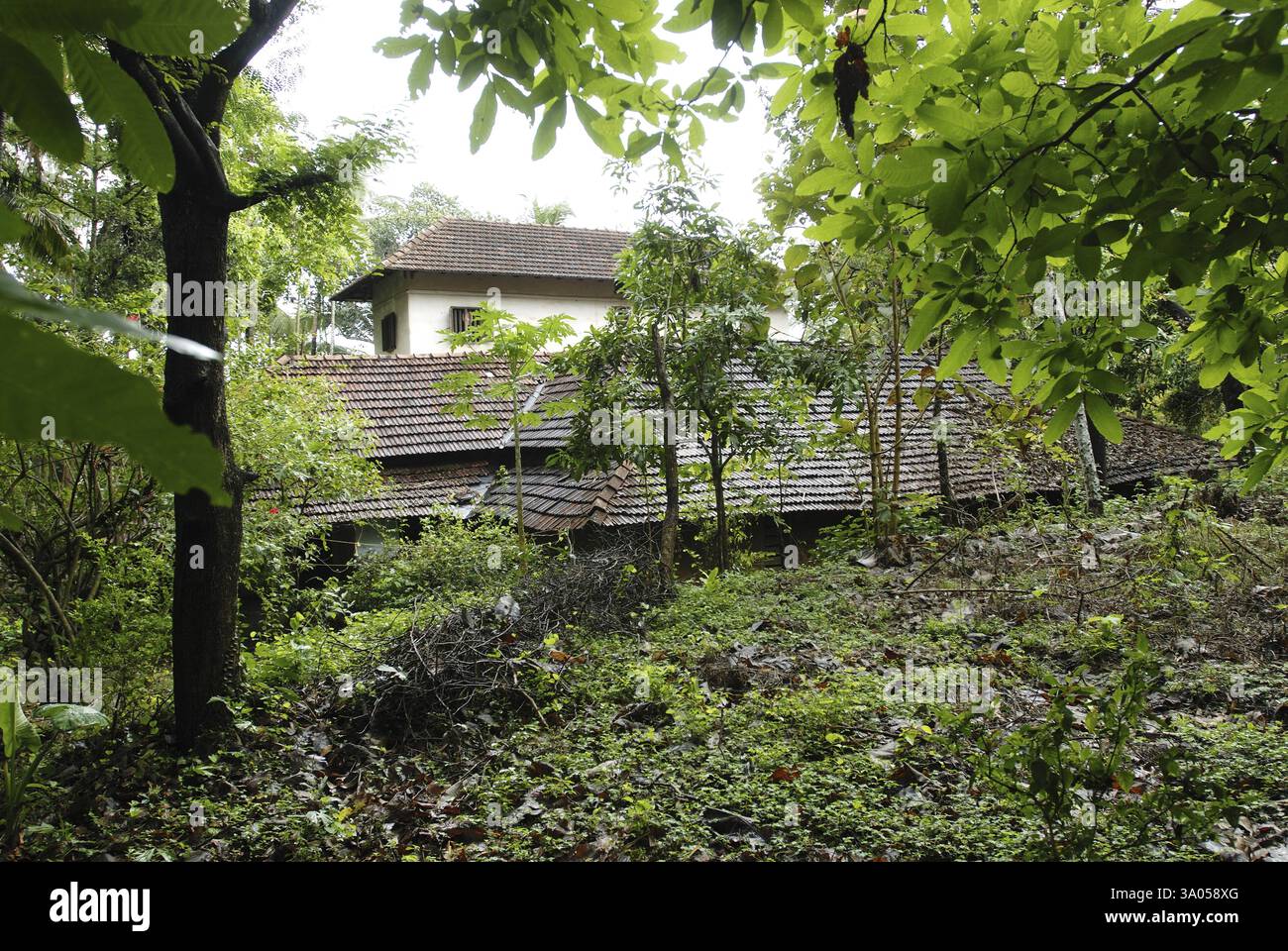 175 Jahre altes traditionelles Haus der Namboothiries Keralite Brahmins Perumangatu Mana in Panjal, Kerala, Indien, Asien Stockfoto