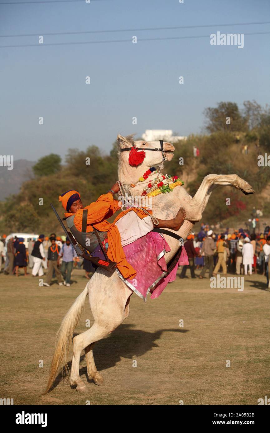 Nihang- oder Sikh-Krieger mit Gewehr auf Pferd während der Hola Mohalla-Feier im Anandpur Sahib in Rupnagar Stockfoto