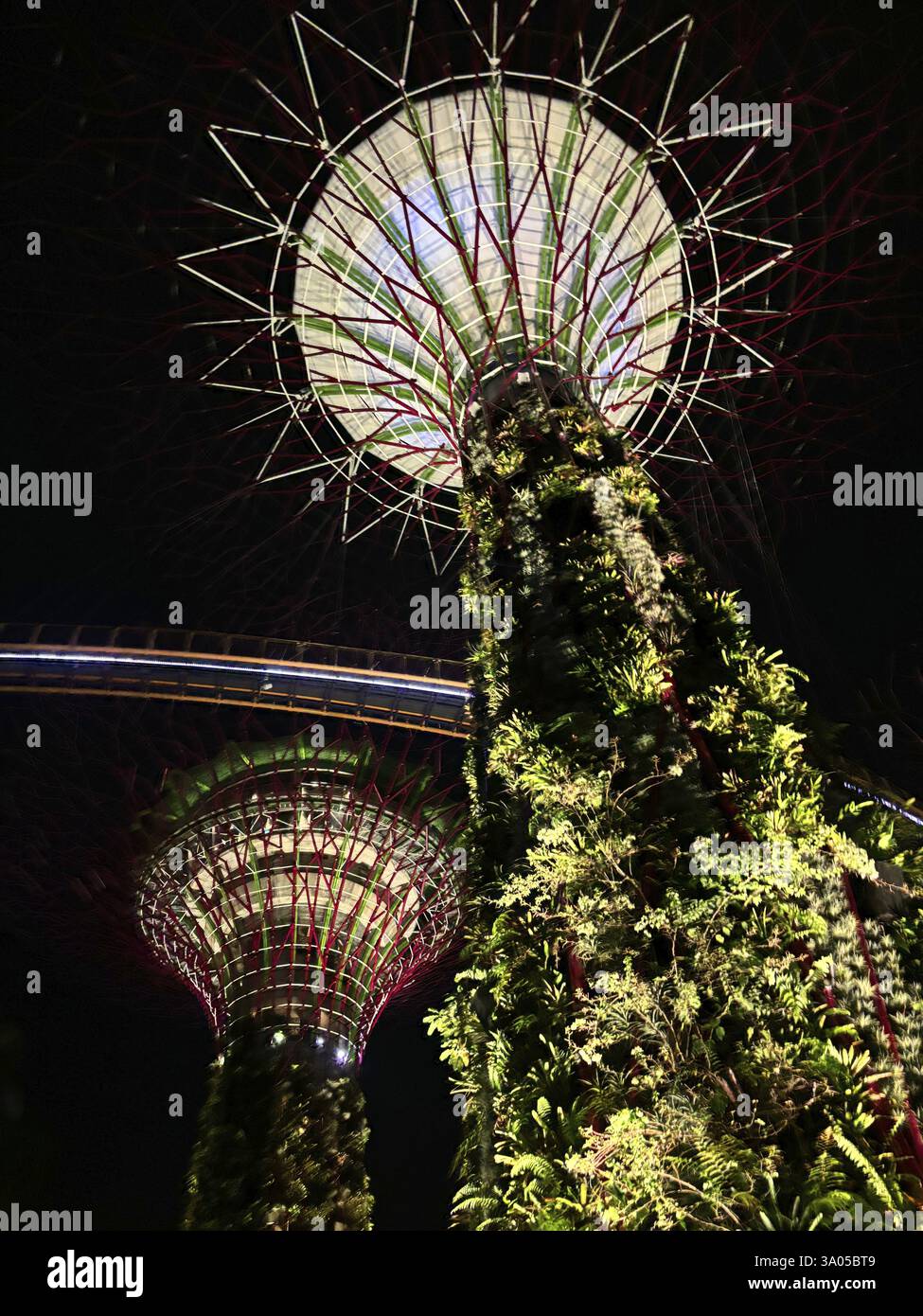 Futuristische Bäume mit nächtlicher Beleuchtung, umgeben von grünem Laub und stimmungsvollem Ambiente, singapur, Aisia Stockfoto