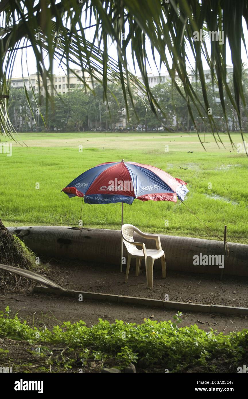 Pferde, Pferd, Tragen, Waren, Maharashtra, indien, indisch, Tier, Tiere, Farbe, Farben, Hund, Hund, Haushalt, volle Länge, Volllänge, Pflanzenfresser, h Stockfoto