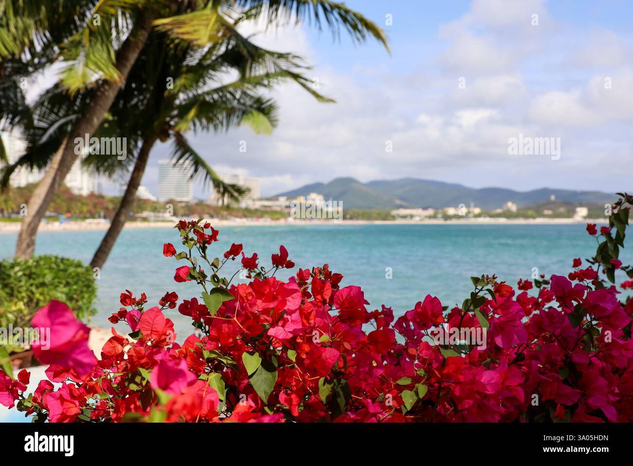 Malerischer Blick auf den tropischen Meeresstrand mit Kokospalmen in der Dadonghai-Bucht von Sanya auf der Insel Hainan Stockfoto