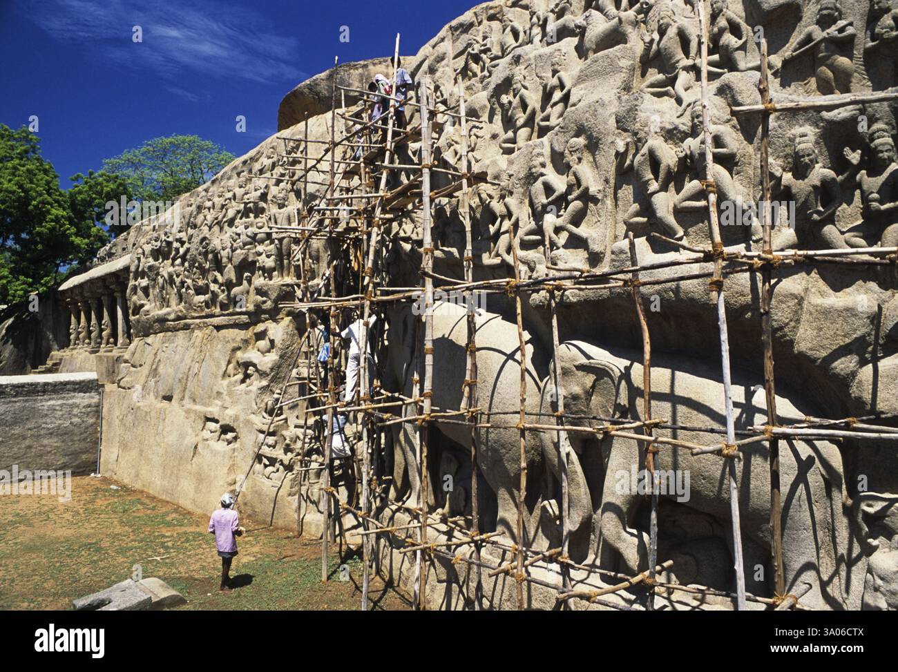 Reinigungsprozess der Bas Relief Arjunas Buße in Mahabalipuram Mamallapuram, Tamil Nadu, Indien, Asien Stockfoto