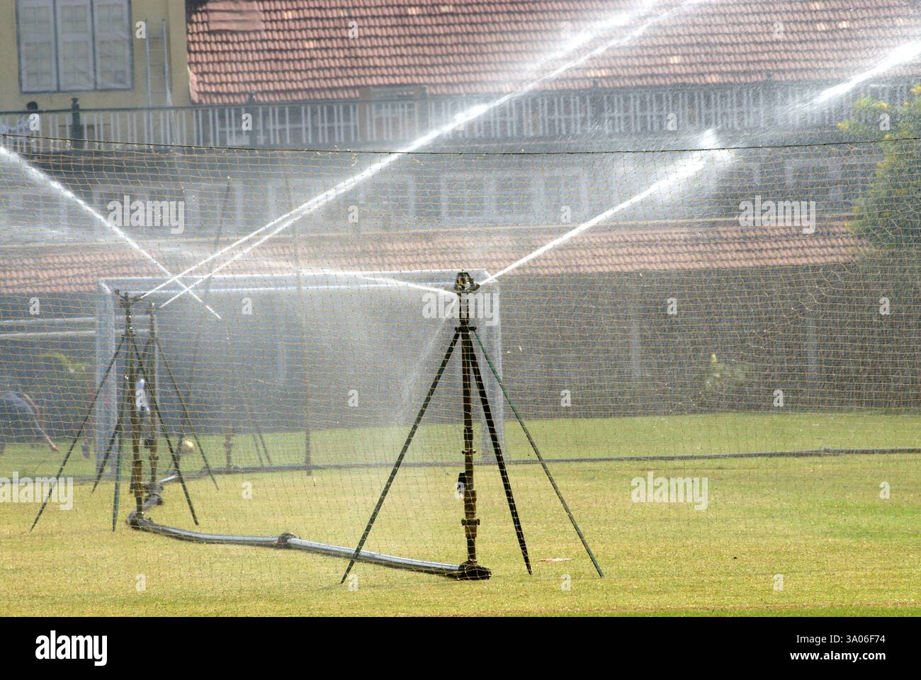 Sprinkleranlage, die Wasser für üppiges grünes Gras im Garten von Bombay Gymkhana in Azad Maidan, Bombay, sprengt Stockfoto