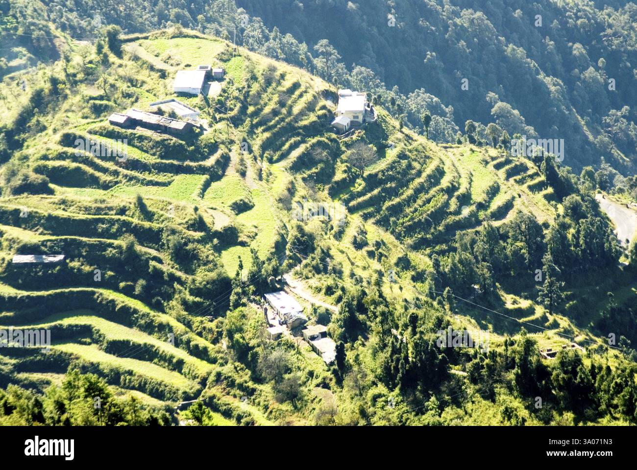 Terrassenbewirtschaftung im Dorf Kaddukhal im Morgenlicht, Uttaranchal, Indien, Asien Stockfoto