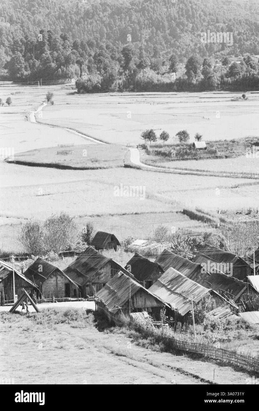 Das Paddy Plateau, unterer subansiri Bezirk, Arunachal Pradesh, 1982, Indien, Asien Stockfoto