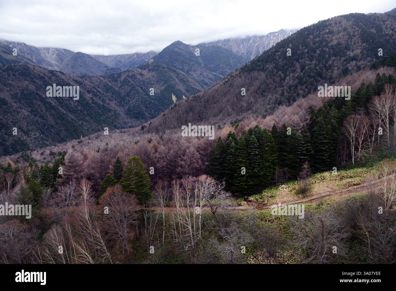 Blick von der Shinatoka Seilbahn in den Japanischen Alpen, Präfektur Gifu, Japan. Stockfoto