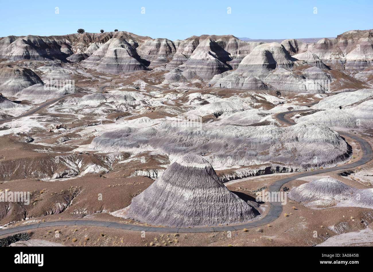 Hügel in Arizonas Painted Desert mit farbenfrohen geologischen Bändern. Stockfoto
