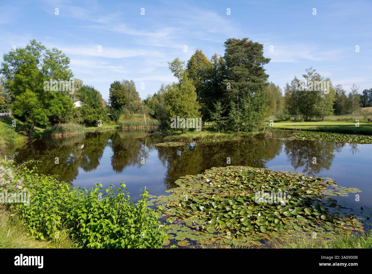 Landschaft am Staffelsee, Uffing, Bayern Stockfoto