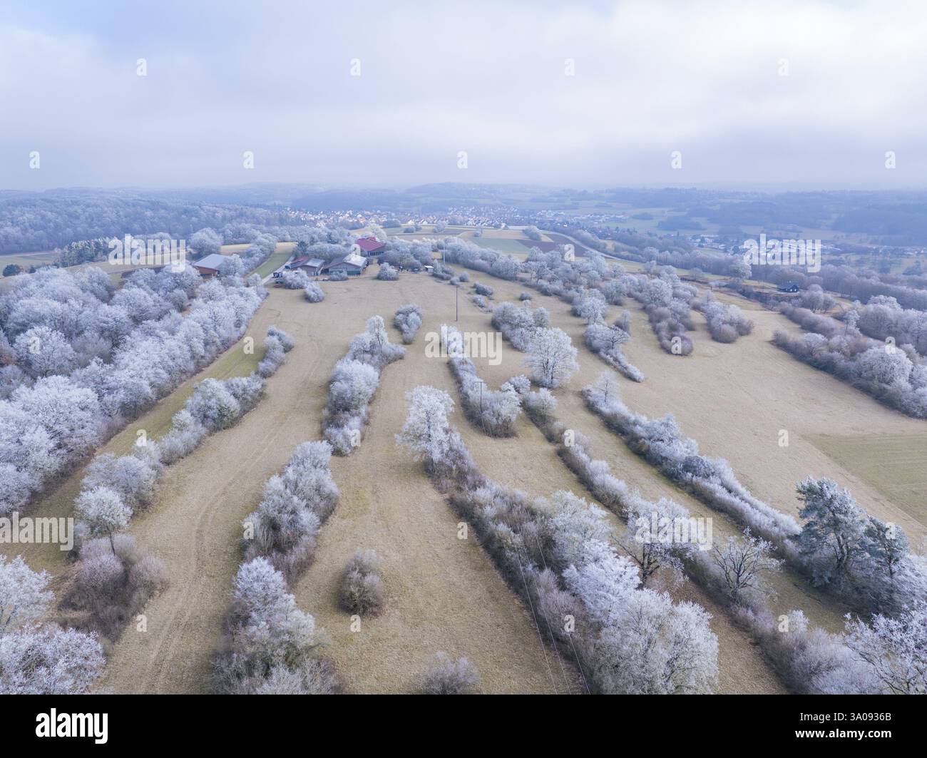 Weitläufige Felder und ein Dorf, fotografiert im Winter, mit einem Panorama von schneebedeckten Bäumen, Gechingen, Bezirk Calw, Schwarzwald, Deutschland, Eur Stockfoto