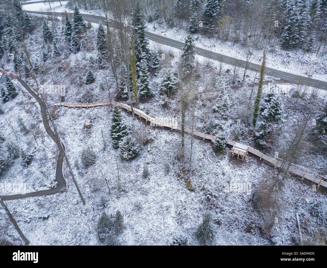 Schneebedeckter Wald mit Holzsteg und -Straße, ruhige Winteratmosphäre, neuer Holzsteg im Stadtgarten von Calw, Calw, Schwarzwald, Deutschland Stockfoto
