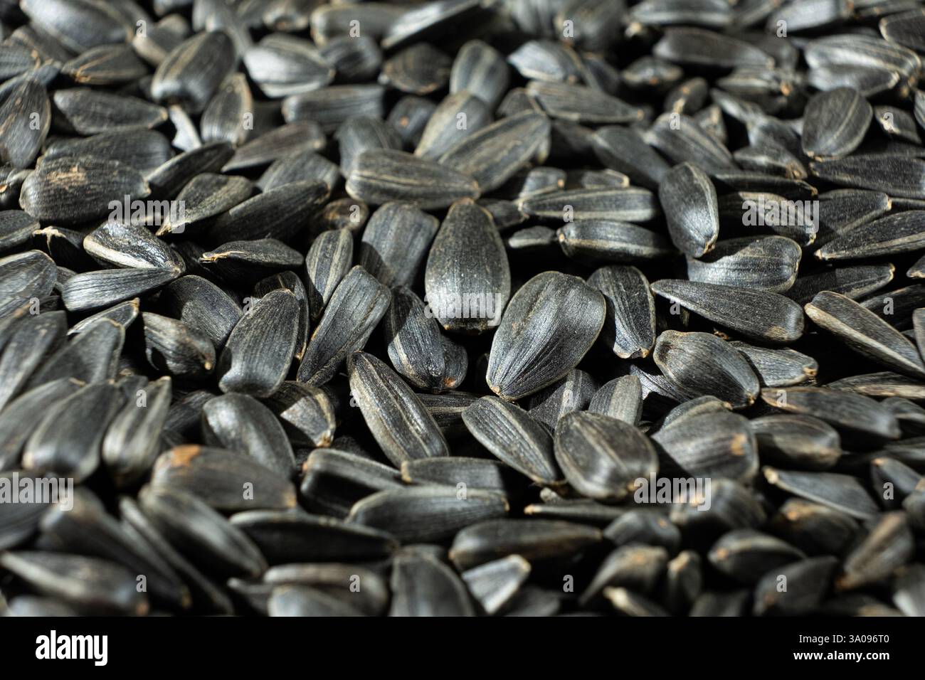Crunchy Rösted Sunflower Seeds Nahaufnahme. Stockfoto