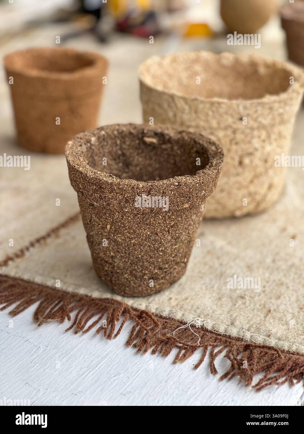 Nahaufnahme von umweltfreundlichen Pflanztöpfen, die aus erneuerbaren Materialien wie Kokosnuss-Kokos, Mate, Kaffeesatz oder recyceltem Holz hergestellt werden. Und Papier Stockfoto
