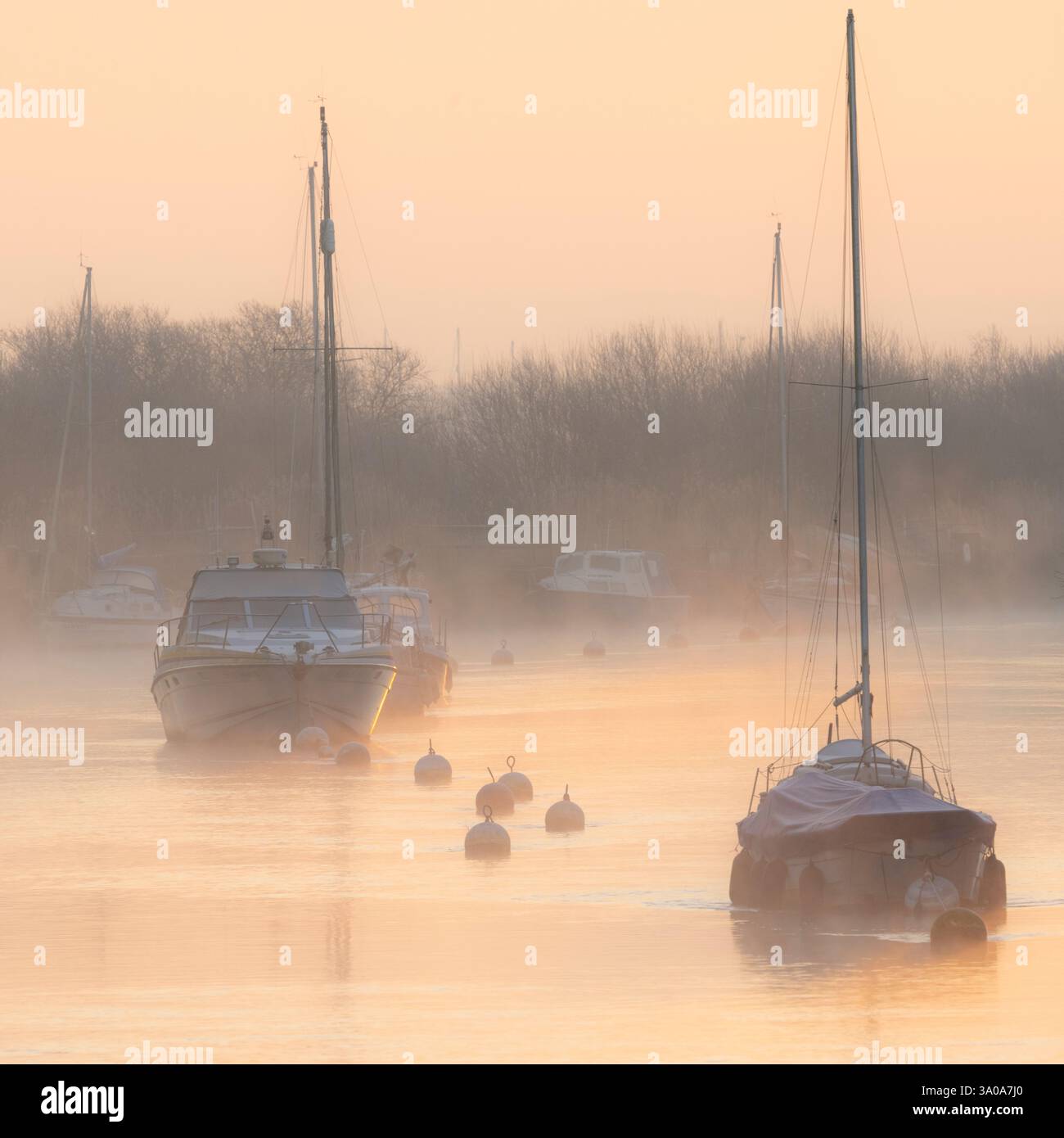 River Frome, Wareham, Dorset, Großbritannien. März 2025. Wetter in Großbritannien: Boote, die am Frome ankern, sind bei Sonnenaufgang zu Beginn eines weiteren schönen Frühlingstages in weichem Nebel gehüllt. Das herrliche Frühlingswetter wird sich bis weit in die Woche fortsetzen. Quelle: Celia McMahon/Alamy Live News Stockfoto