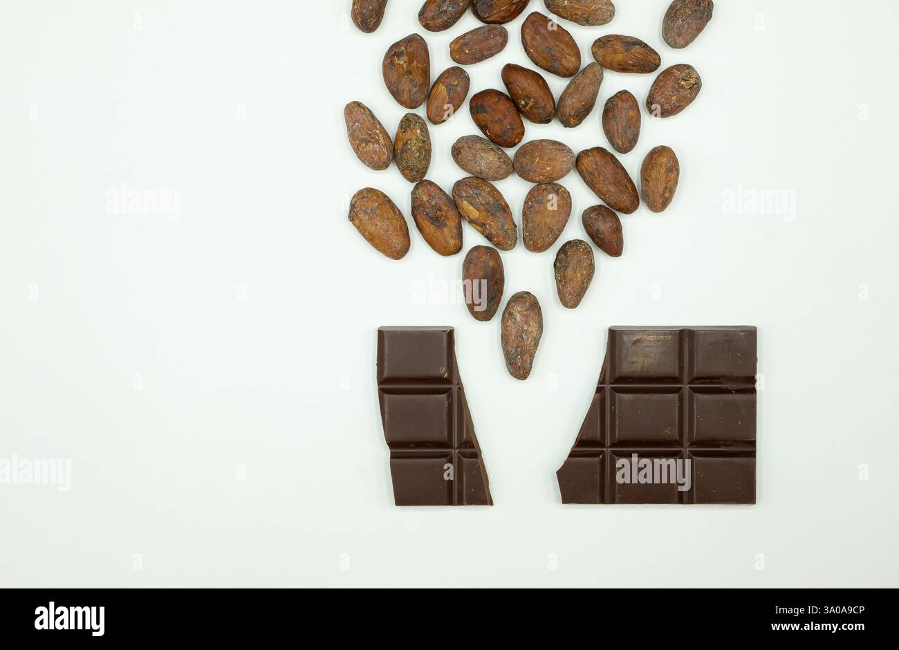 Kakaobohnen werden in die dunkle gebrochene Schokolade gegossen. Bean-to-Bar-Konzept. Technologie zur Schokoladenherstellung. Kopierbereich. Stockfoto