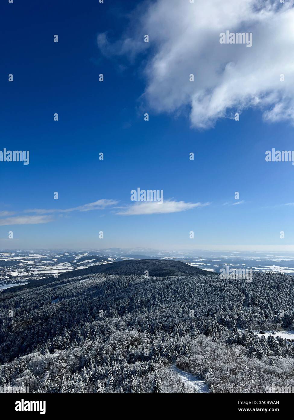 Schneebedeckte Berge mit atemberaubender Aussicht an einem klaren Wintertag. Faszinierender schneebedeckter Wald mit einer magischen Atmosphäre. - Smartphone-aufgenommenes Stockfoto