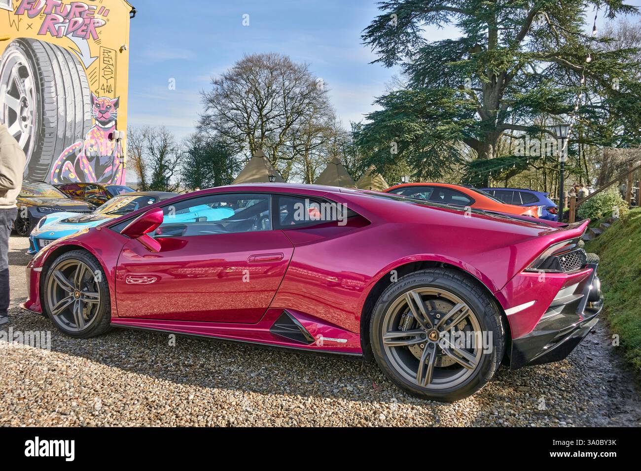 LAMBORGHINI HURACAN EVO LP, 2021, Metallic Purple Stockfoto