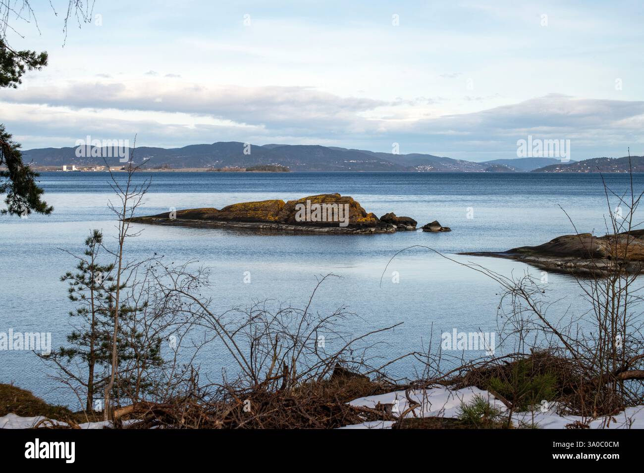 Norwegisches Meeresbild im Oslofjord mit Hagebuttenbüschen vorne. Flechten bedeckten die Insel mit Bergleuten im Hintergrund. Stockfoto