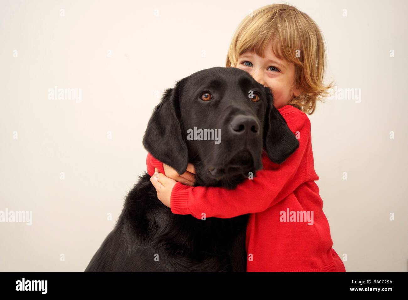Glückliches Kleinkind, das seinen schwarzen labrador Retriever Hund umarmt Stockfoto