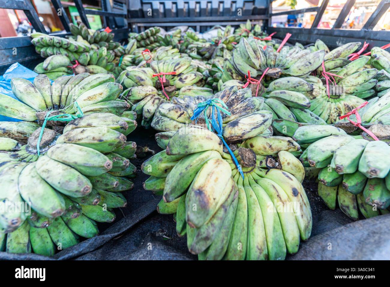 Frische grüne Bananen gestapelt auf Pickup für den Transport Stockfoto