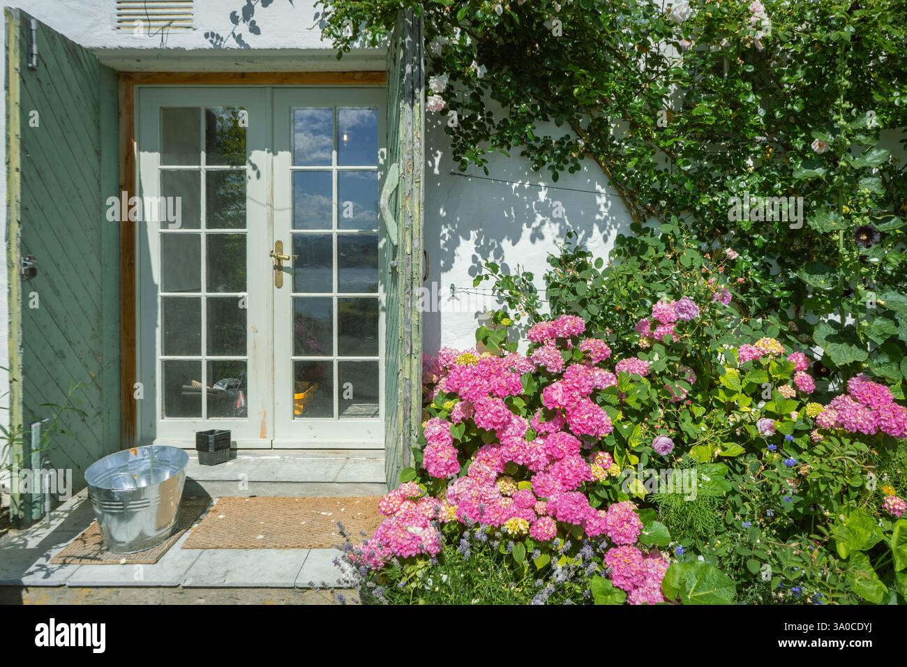 Hundeanhänger 2 Stockfoto