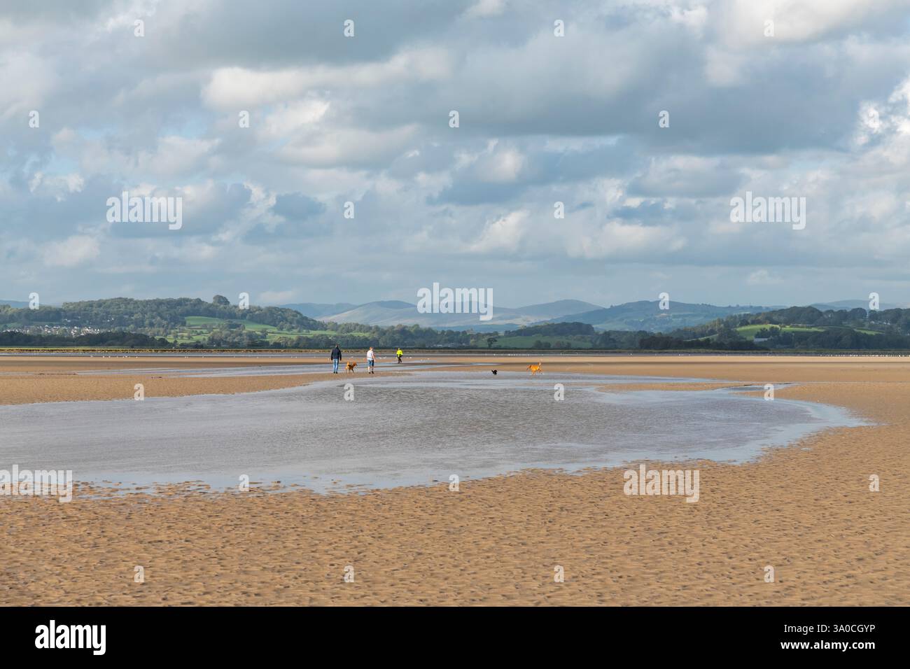 Die Mündung des Flusses Kent bei Sandside an der Küste von Cumbria, England. Menschen gehen bei Ebbe mit ihren Hunden. Stockfoto
