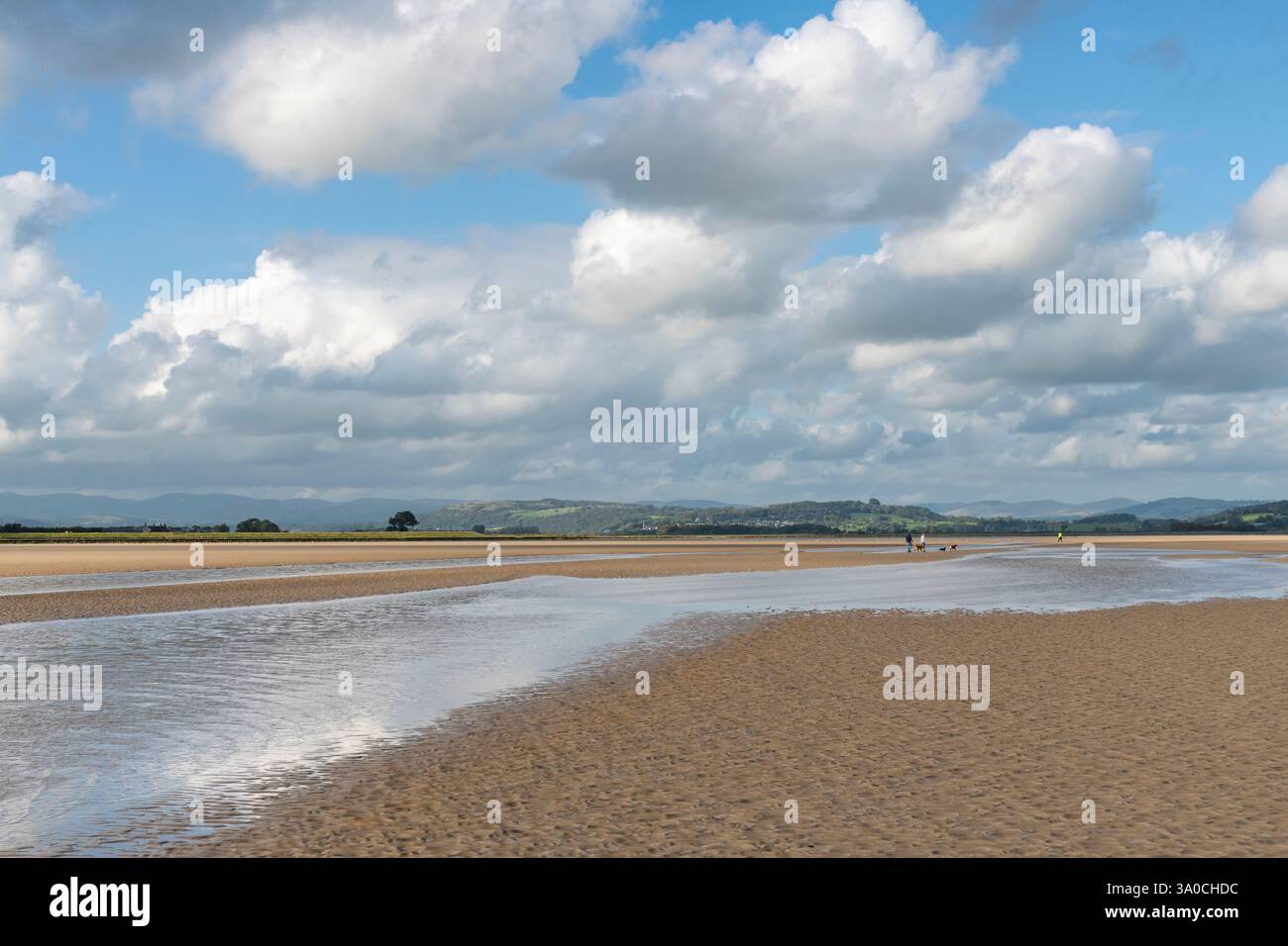 Die Mündung des Flusses Kent bei Sandside an der Küste von Cumbria, England. Menschen gehen bei Ebbe mit ihren Hunden. Stockfoto