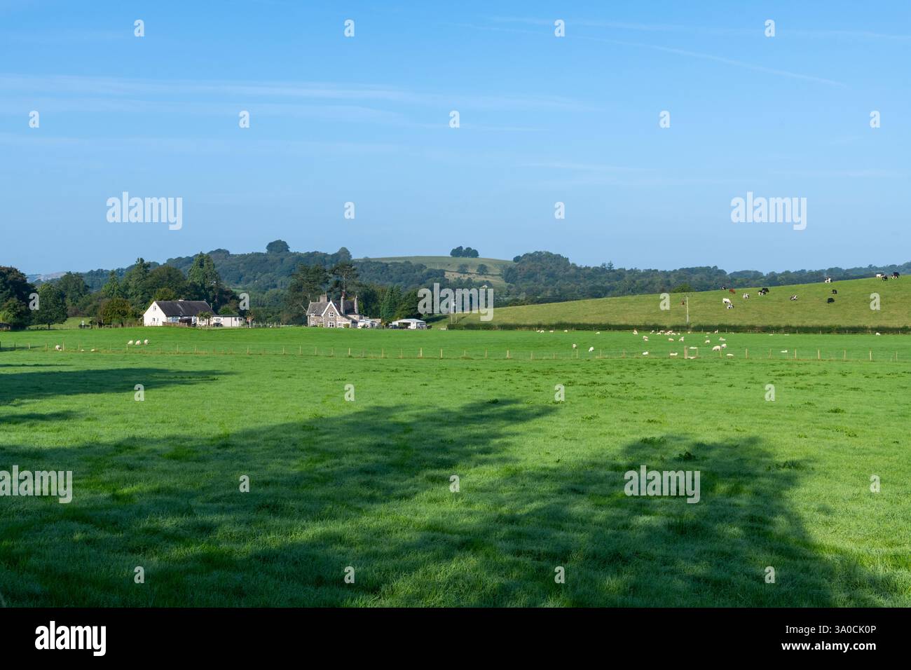 Landschaft rund um das Dorf Sedgwick bei Kendal in Cumbria, Nordwestengland. Stockfoto