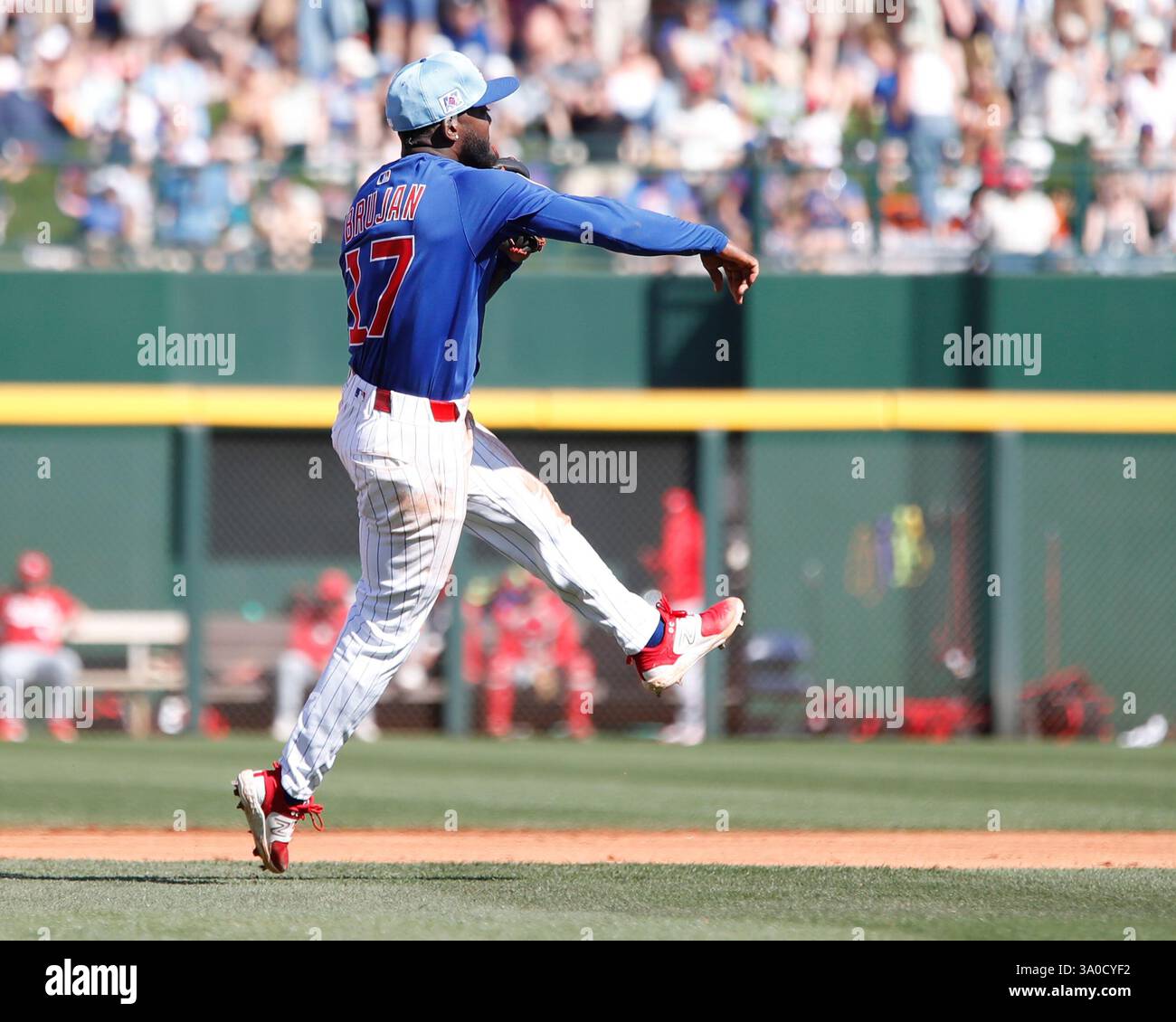 Mesa, Arizona, USA. März 2025. Chicago Cubs Shortstop Vidal BrujÃ¡n (17) stürzt sich in das Spring-Training-Spiel der Cincinnati Reds und Chicago Cubs im Sloan Park in Mesa, Arizona. Michael Cazares/CSM/Alamy Live News Stockfoto