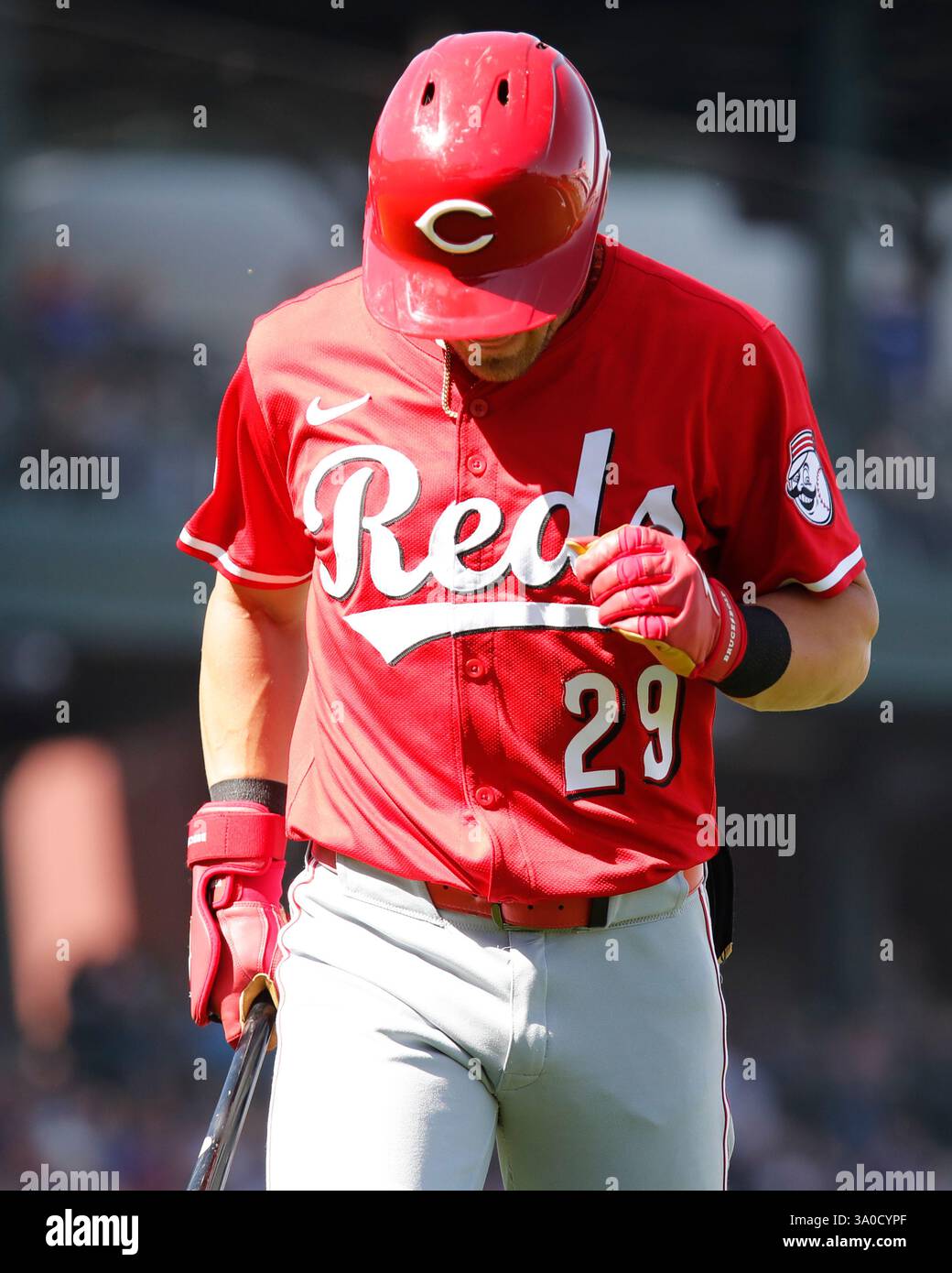 Mesa, Arizona, USA. März 2025. Der Cincinnati Reds-Outfield TJ Friedl (29) geht zurück zum Ausgrabungsspiel der Cactus League im Frühjahr zwischen den Cincinnati Reds und den Chicago Cubs im Sloan Park in Mesa, Arizona. Michael Cazares/CSM/Alamy Live News Stockfoto