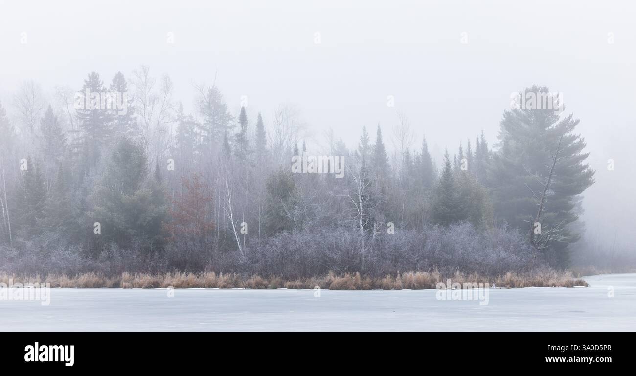 Nebeliger Morgen am Loretta Lake in Sawyer County, Wisconsin. Stockfoto
