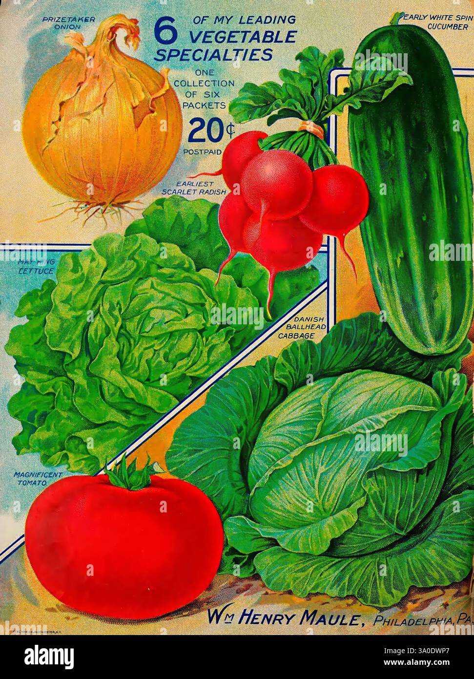 Maules Saatgutkatalog, Philadelphia, Pa, die Firma, Zwiebeln, Pflanzen, Kataloge, Blumen, Gartenarbeit, Maule WM Henry Firm, Baumschulen, Gartenbau, Baumschulen, Baumschulen, Pennsylvania, Stauden, Philadelphia, Saatgutindustrie und -Handel, Saatgut, Gemüse, Prizetaker-Zwiebeln, frühe weiße Spinatgurke, frühester Scharlach-Rettich, prächtige Tomaten, Maikönig-Salat, dänischer Kugelkopfkohl, Gartengeschichten, in Blüte, Solanum lycopersicum, Tomaten, Raphanus sativus, Rettich, Allium cepa, Zwiebeln, Lactuca sativa, Salat, Cucumis sativus, Gurke., Eine lebendige Anzeige verschiedener Gemüsesorten, die einen entzückenden Asso bieten Stockfoto