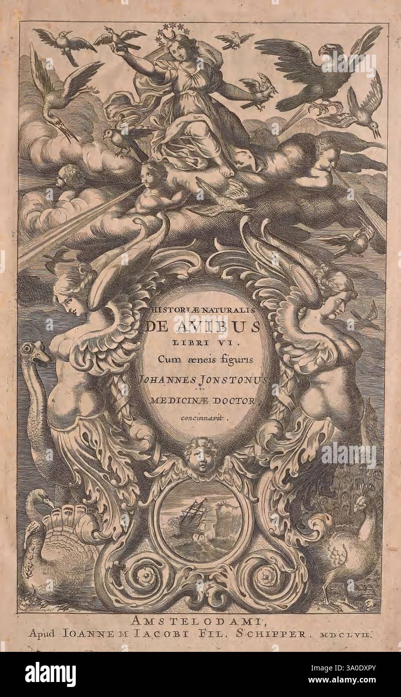 Historiae naturalis de quadrupedibus libri, Amstelodami, apud Ioannem Iacobi Fil. Schipper, MDCLVII [1657]. Vögel, Tiere, Insekten, Schlangen, Zoologie, das Kunstwerk zeigt eine kunstvolle Titelseite mit einer kunstvollen Borte, die eine Vielzahl von Vögeln zeigt und ein Gefühl für Naturgeschichte und Biodiversität veranschaulicht. In der Mitte steht eine auffällige Inschrift in eleganter Schrift mit der Aufschrift „HISTORIAE NATURALIS DE AVIBUS LIBRI VI“, was darauf hinweist, dass es sich bei diesem Werk um eine bedeutende Erforschung von Vogelarten handelt. Um den zentralen Text herum sind mehrere Vögel in dynamischen Posen, einige im Flug, Stockfoto