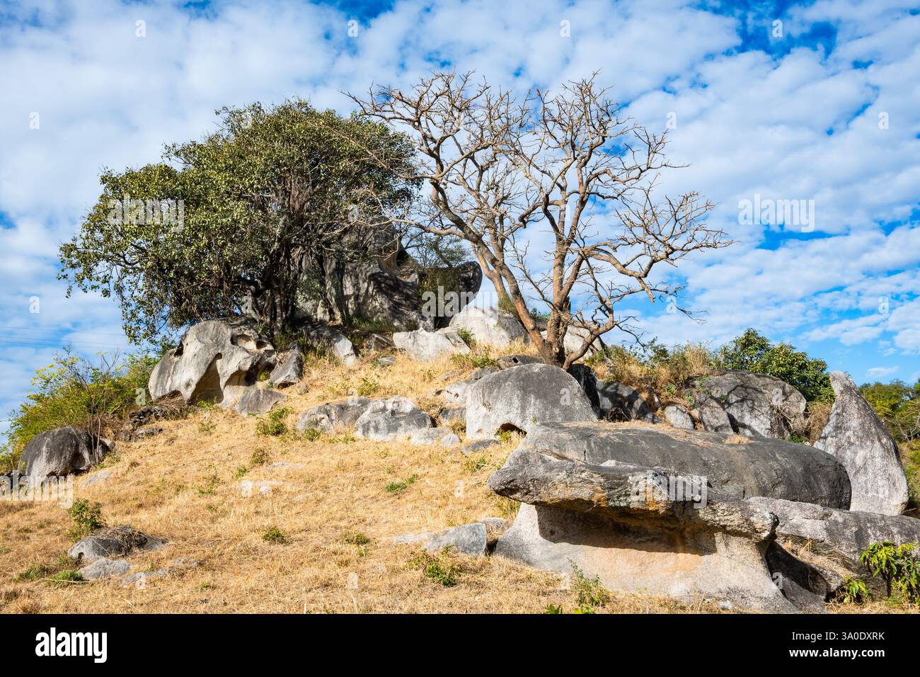 Aufschlüsse von Granitgneis archäischen Alters (2,5 - 3 Milliarden Jahre alt). Mount Abu, Rajasthan, Indien. Stockfoto