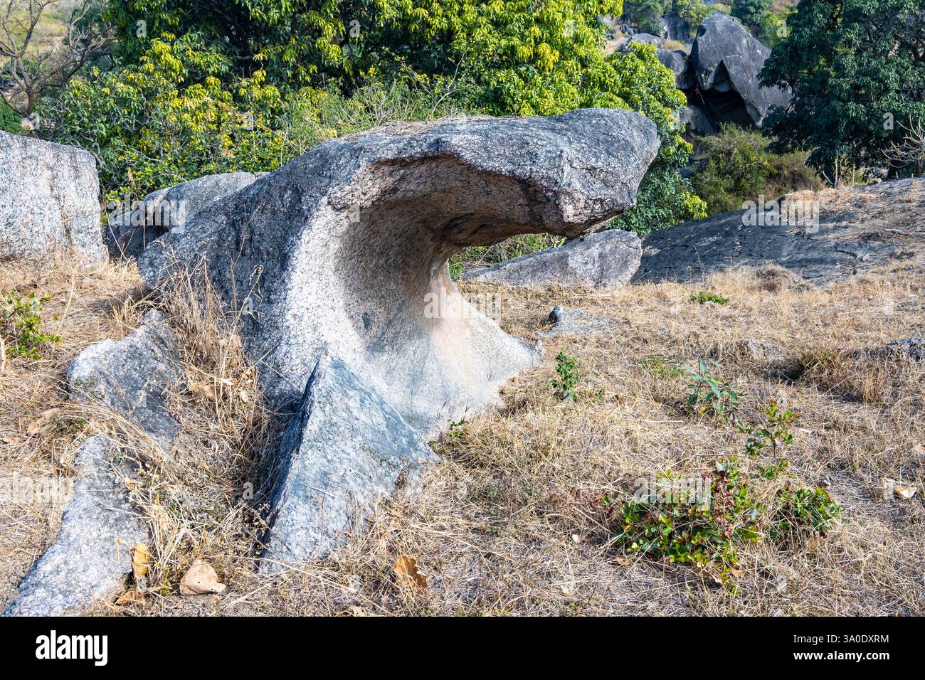 Seltsame Gestalt eines verwitterten Granitgneises archäischer Zeit (2,5 bis 3 Milliarden Jahre alt). Mount Abu, Rajasthan, Indien. Stockfoto