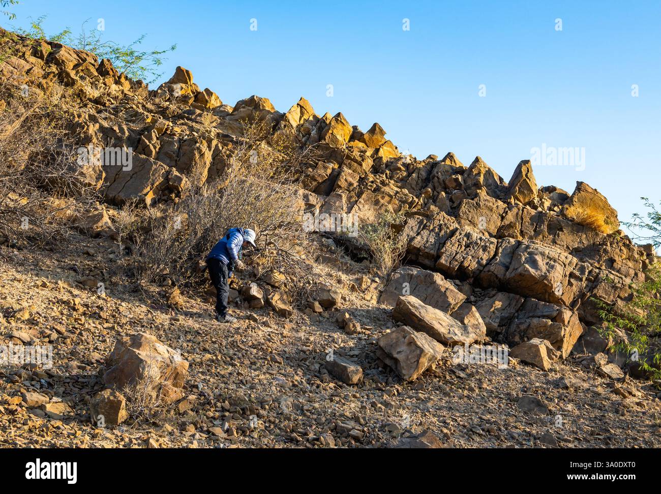 Eine Geologin, die sich den Felsvorsprung genau ansieht. Gujarat, Indien. Stockfoto