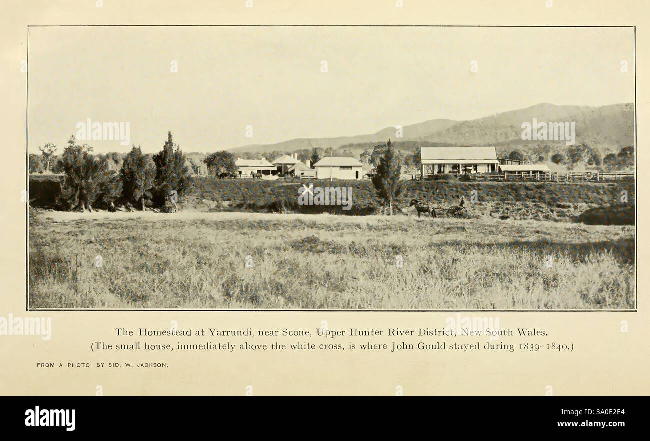 The Emu, Melbourne, Royal Australasian Ornithologists Union, 1901, Australasia, Birds, Ornithology, Zeitschriften, Panoramablick auf eine ruhige Landschaft mit einem großen Gebäude vor der Kulisse von sanften Hügeln. Die Struktur, die sich durch ihr langes, flaches Profil auszeichnet, ist von ausgedehnten grünen Rasenflächen und einigen verstreuten Bäumen umgeben, was eine ruhige Atmosphäre schafft. Im Vordergrund tragen üppiges Gras und Laub zur natürlichen Schönheit der Szene bei. Die fernen Berge erheben sich sanft und verleihen der Komposition Tiefe. Ein kleines Kreuz im Feld deutet auf einen bemerkenswerten Punkt von in hin Stockfoto