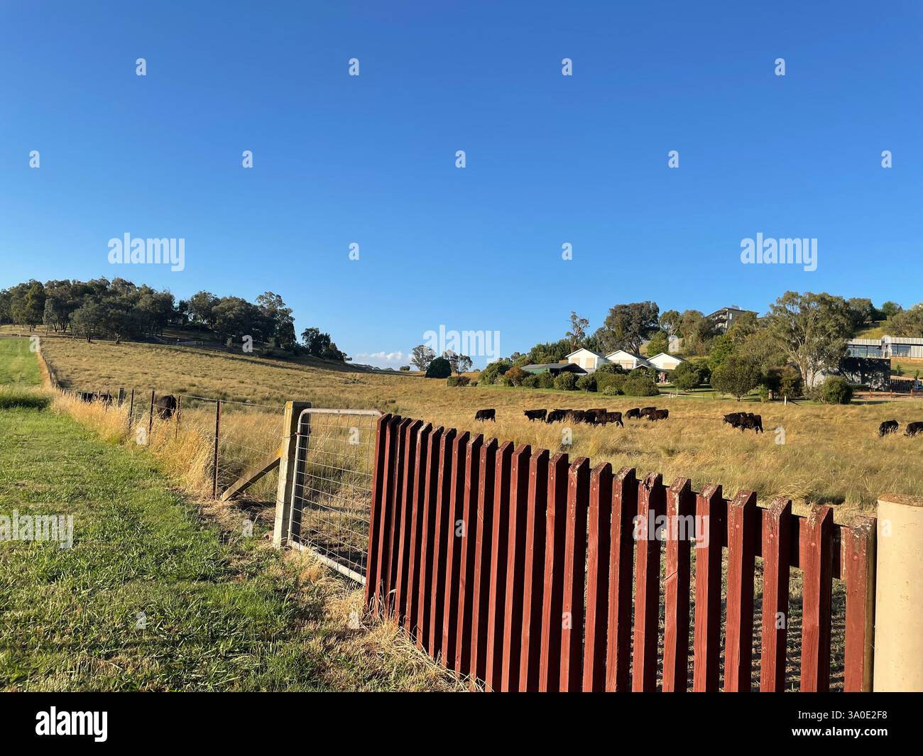 Farm in mansfield - Smartphone-aufgenommenes Stockfoto