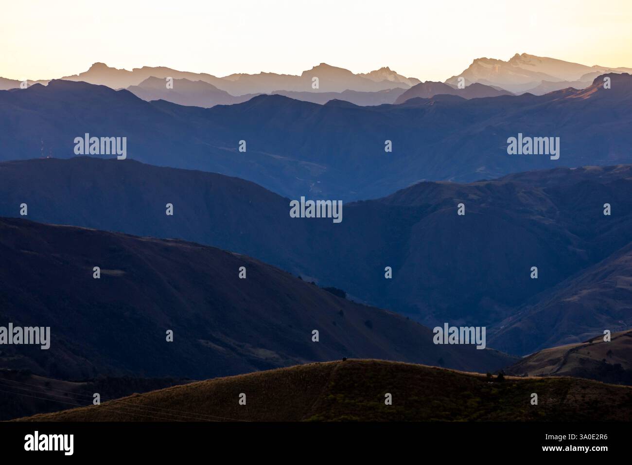 Das Páramo de Berlín ist ein Moorökosystem nördlich der östlichen Kordillera der Anden in Kolumbien, insbesondere im Bezirk Berlín Stockfoto