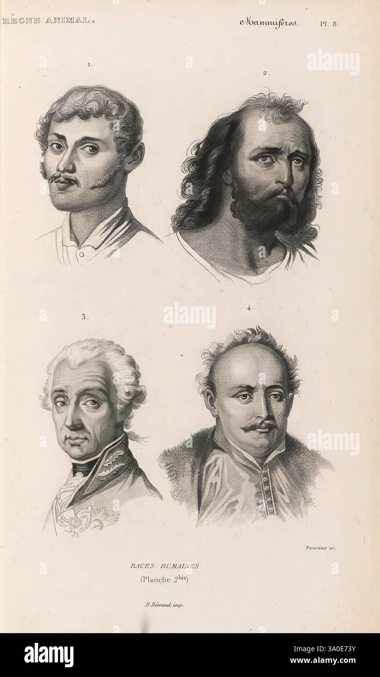 Le règne Animal distribué d'après son Organisation Paris, 1836-1849 Anatomie, Vergleich, Tiere, Klassifizierung, Identifikation, Nomenklatur, Zoologie, Museum of Comparative Zoology, die Illustration zeigt eine Sammlung von vier verschiedenen Porträts, die jeweils Individuen mit einzigartigen Gesichtsausdrücken und Frisuren darstellen. Oben links wird ein junger Mann mit ordentlich gestylten Haaren und einem selbstbewussten Blick präsentiert. Oben rechts zeigt eine robustere Figur mit Vollbart und ernstem Verhalten. Links unten ist ein älterer Mann dargestellt, der sich durch einen nachdenklichen Ausdruck und einen ausgeklügelten Ausdruck auszeichnet Stockfoto