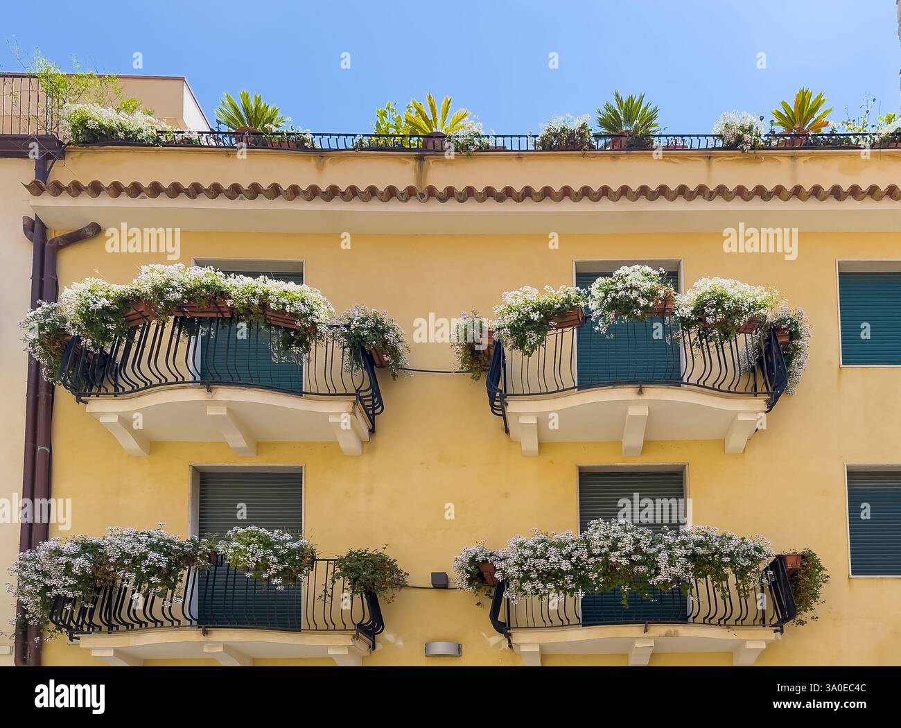 Taormina, Sizilien, Italien - 5. Juli 2024: Historische Innenstadt. Blumen und Pflanzen auf gelben Balkonen und Dach. Fenster mit grünen Blenden Stockfoto