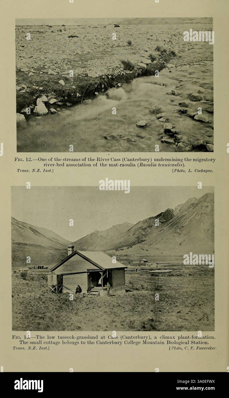 New Zealand, Plants, Cass Mountain Research Area, Raoulia tenuicaulis, Cass River, der obere Abschnitt zeigt einen Bach aus dem Cass River in Canterbury und zeigt die Interaktion zwischen dem Wasserfluss und dem umliegenden Gelände, das für den Lebensraum der wandernden Fischarten, insbesondere der MAT-rāori (Ruihana tenax), essentiell ist. Die detaillierten Strukturen des Wassers und des Ufers werden durch die natürliche Umgebung ergänzt. Der untere Abschnitt verfügt über ein kleines Gebäude vor einem Hintergrund von Bergen, was auf seine Zugehörigkeit zur Canterbury College Mountain Biological Station hinweist. Dies Stockfoto