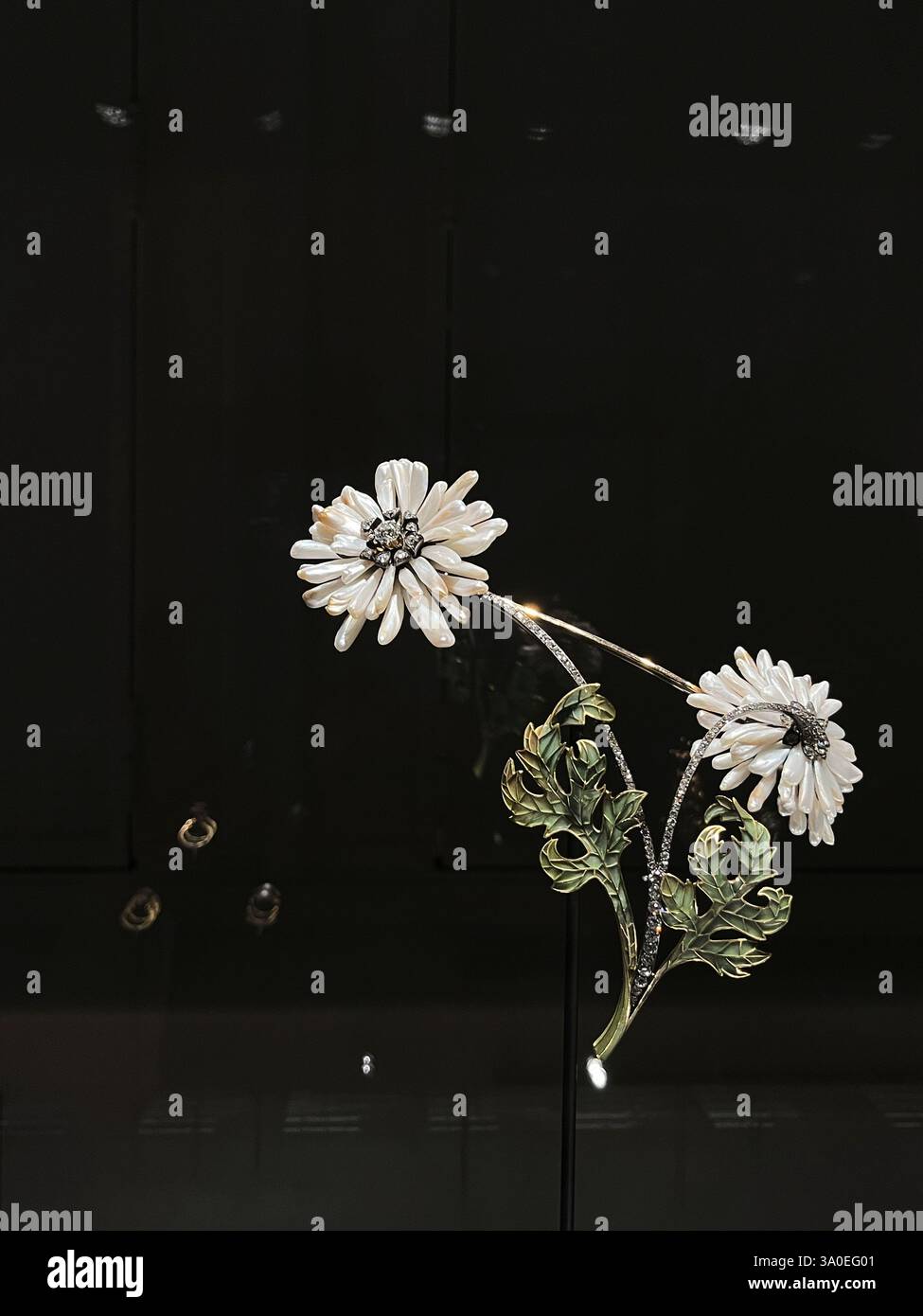 Eine atemberaubende und exquisite Darstellung zarter weißer Blumen mit komplexen Details und Kunstfertigkeit Stockfoto